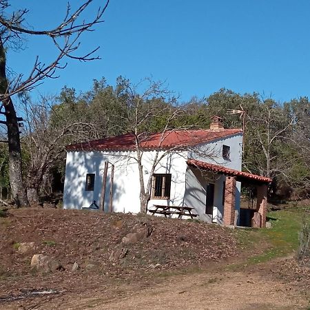 Viviendas Rurales Del Robledo Castano de Robledo 外观 照片