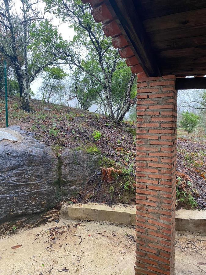 Viviendas Rurales Del Robledo Castano de Robledo 外观 照片