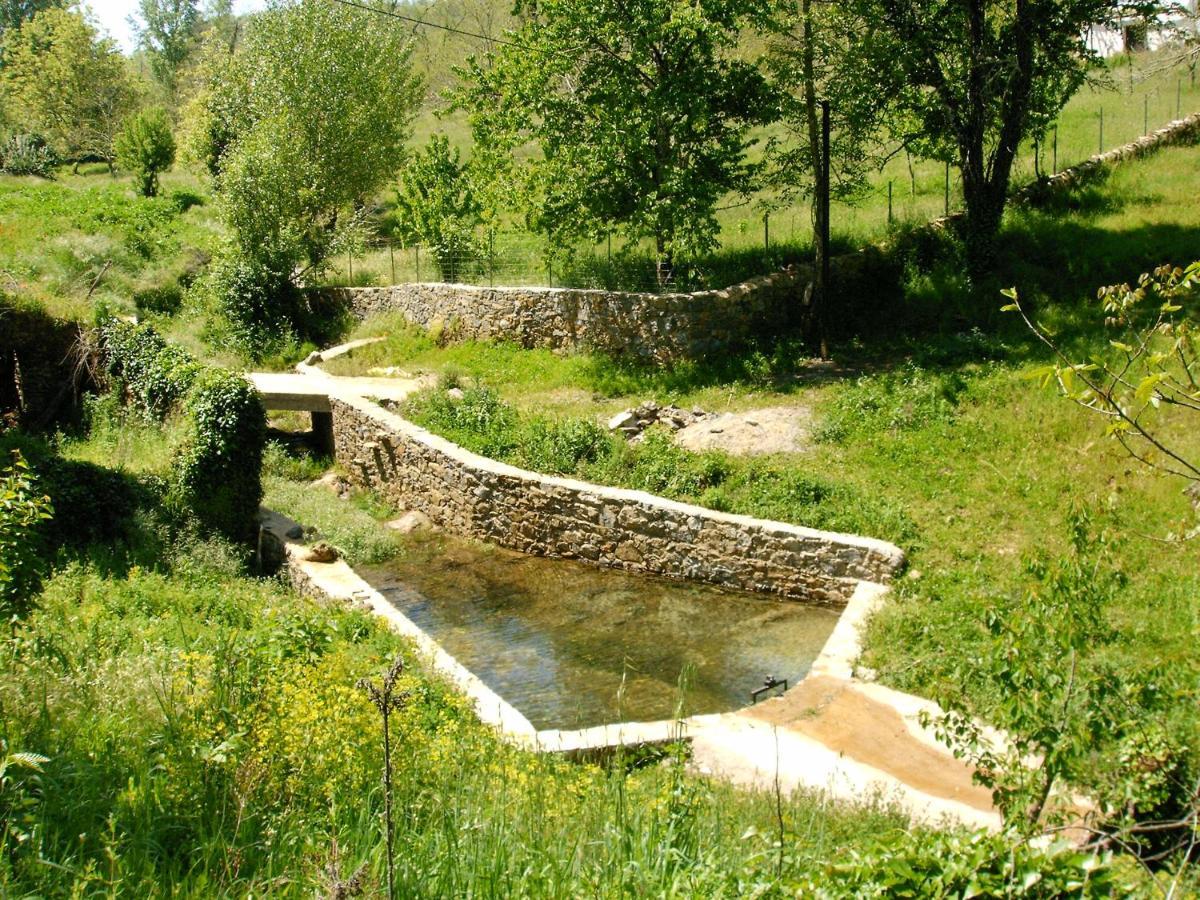Viviendas Rurales Del Robledo Castano de Robledo 外观 照片