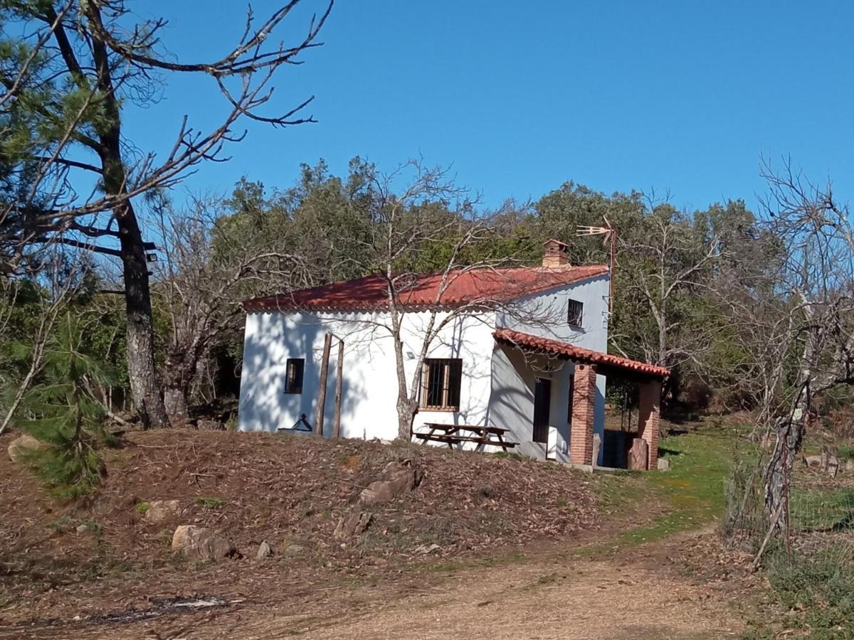 Viviendas Rurales Del Robledo Castano de Robledo 外观 照片
