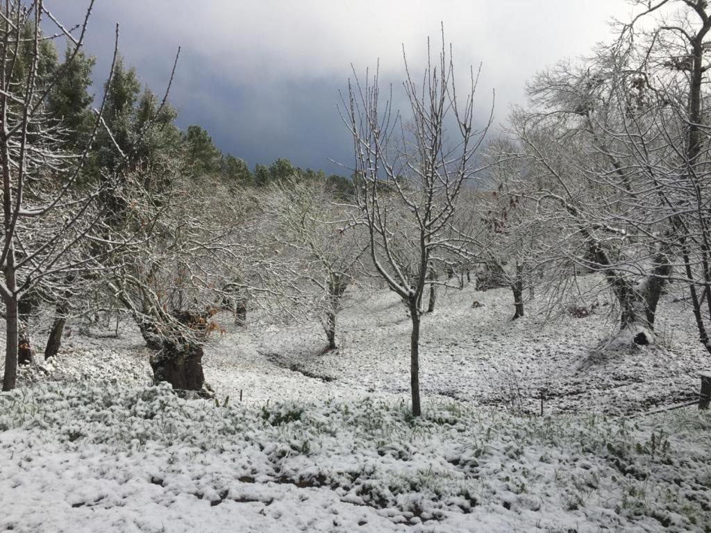 Viviendas Rurales Del Robledo Castano de Robledo 外观 照片
